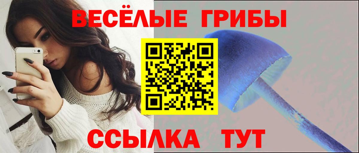 Псилоцибиновые грибы GOLDEN TEACHER  Вход с VPN  Чайковский  Псилоцибиновые грибы мухоморы 